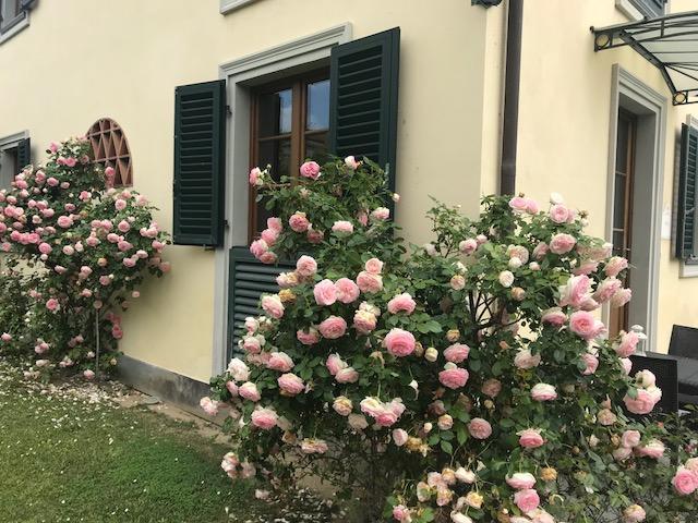 Residence Prunali Massarosa Buitenkant foto